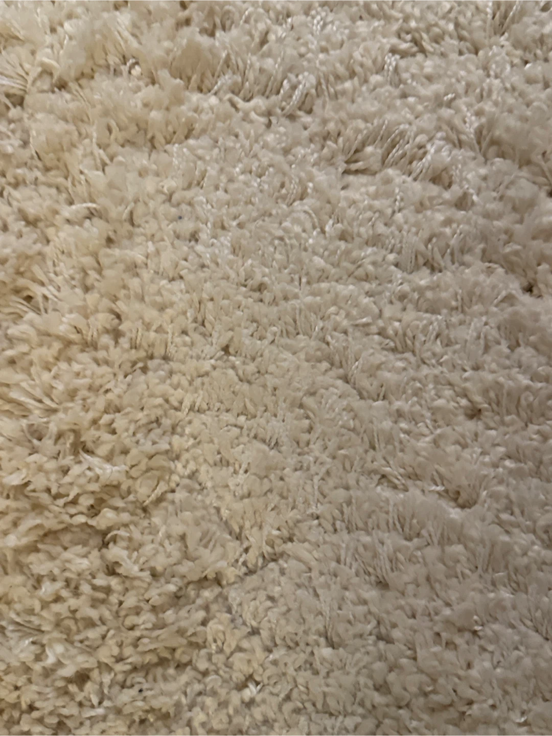 White shag rug 7.5x5.3 - photo 2