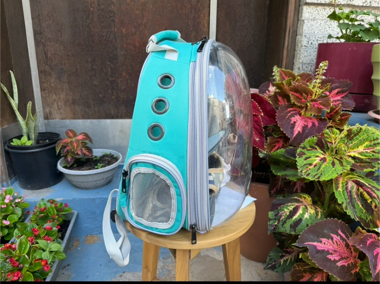 Pet Carrier Backpack - Turquoise image indicator(3)