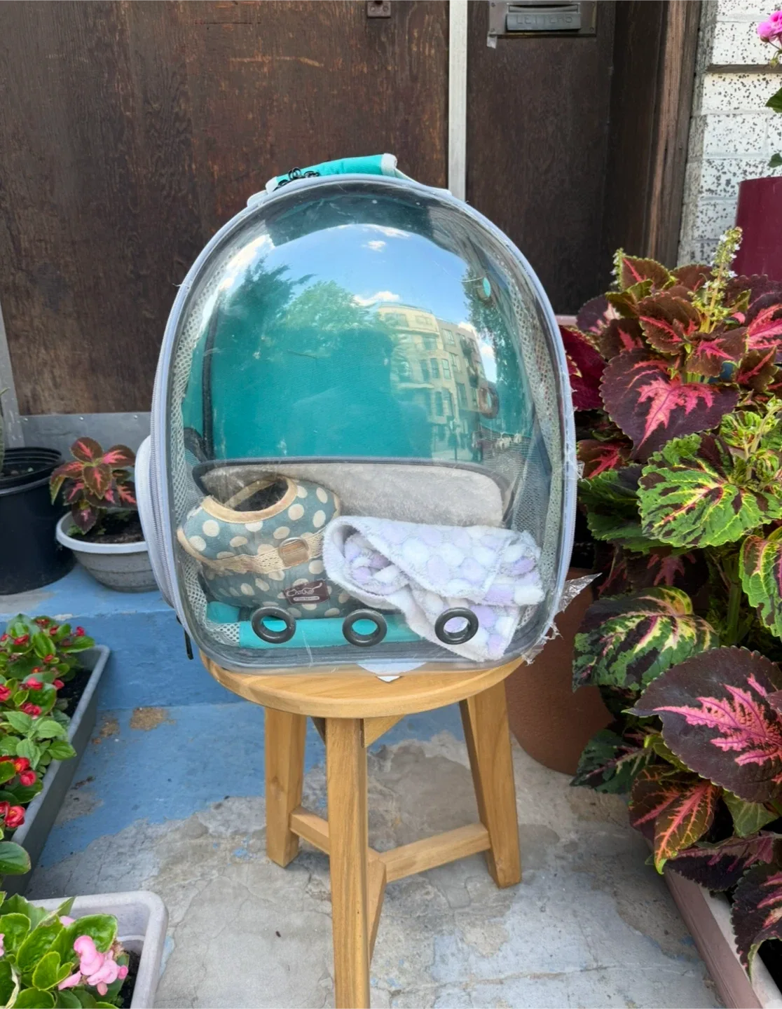 Pet Carrier Backpack - Turquoise