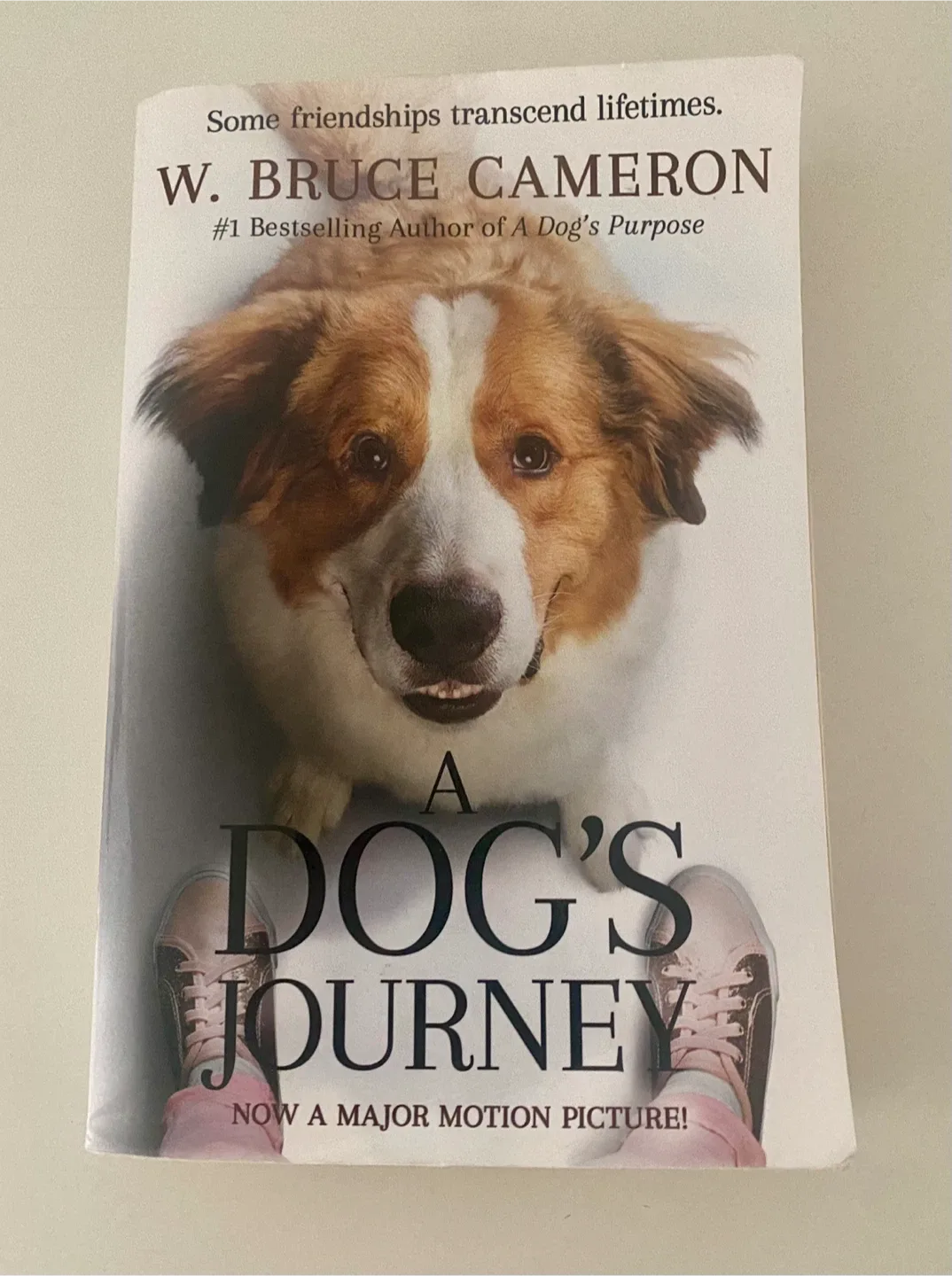 A Dog’s Journey Paperback Book