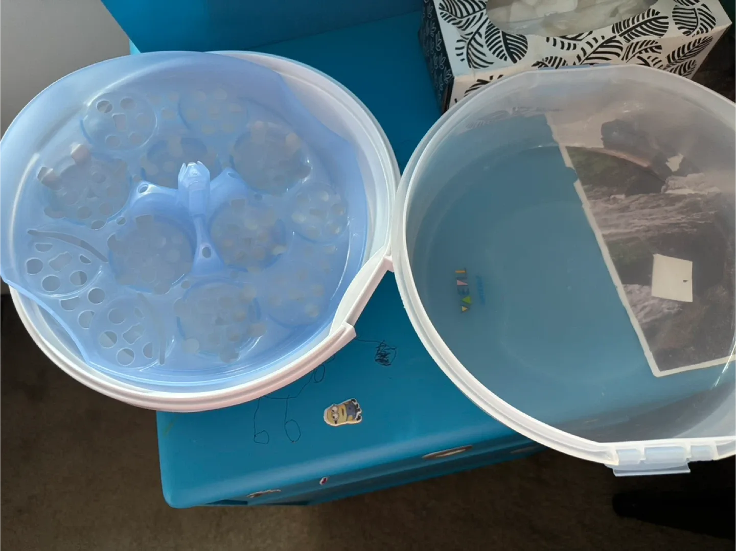 Philips Avent Microwave Steam Sterilizer image indicator(2)