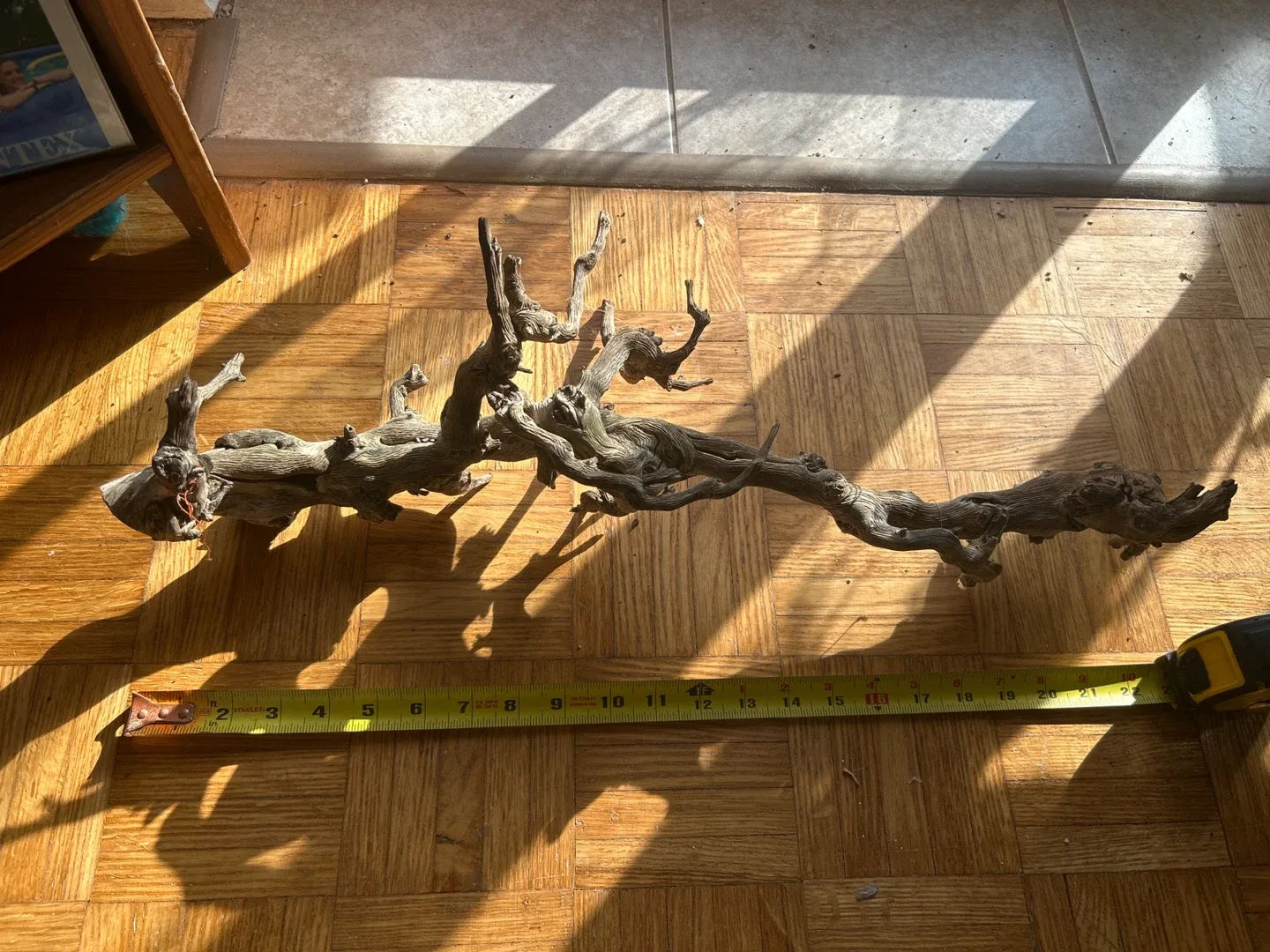 3 Pieces of aquarium driftwood image indicator(4)