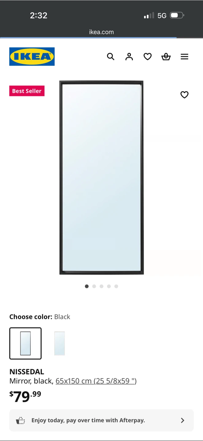 IKEA NISSEDAL Black Mirror (65x150cm)