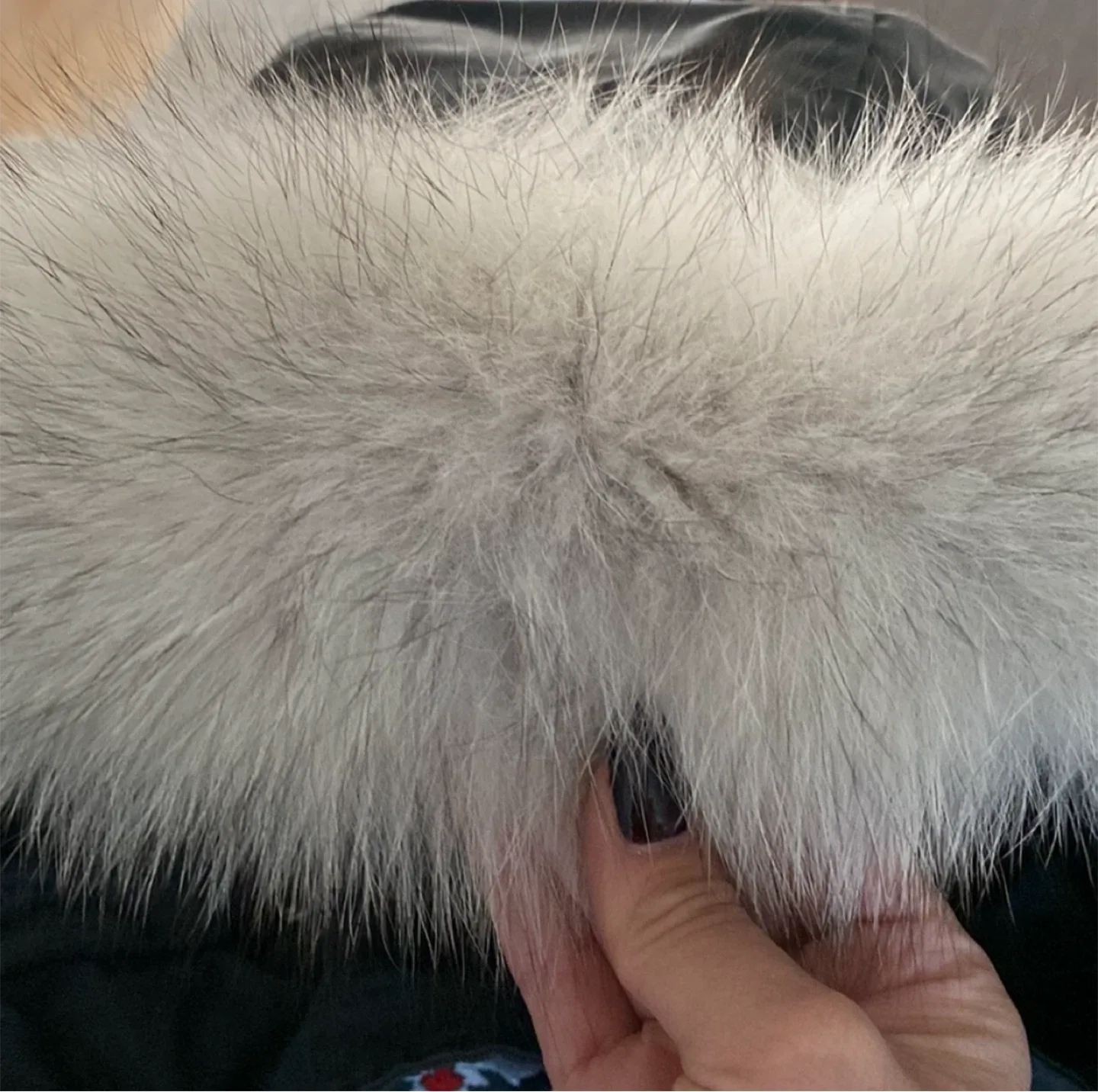 Moose Knuckles Sterling Parka image indicator(7)