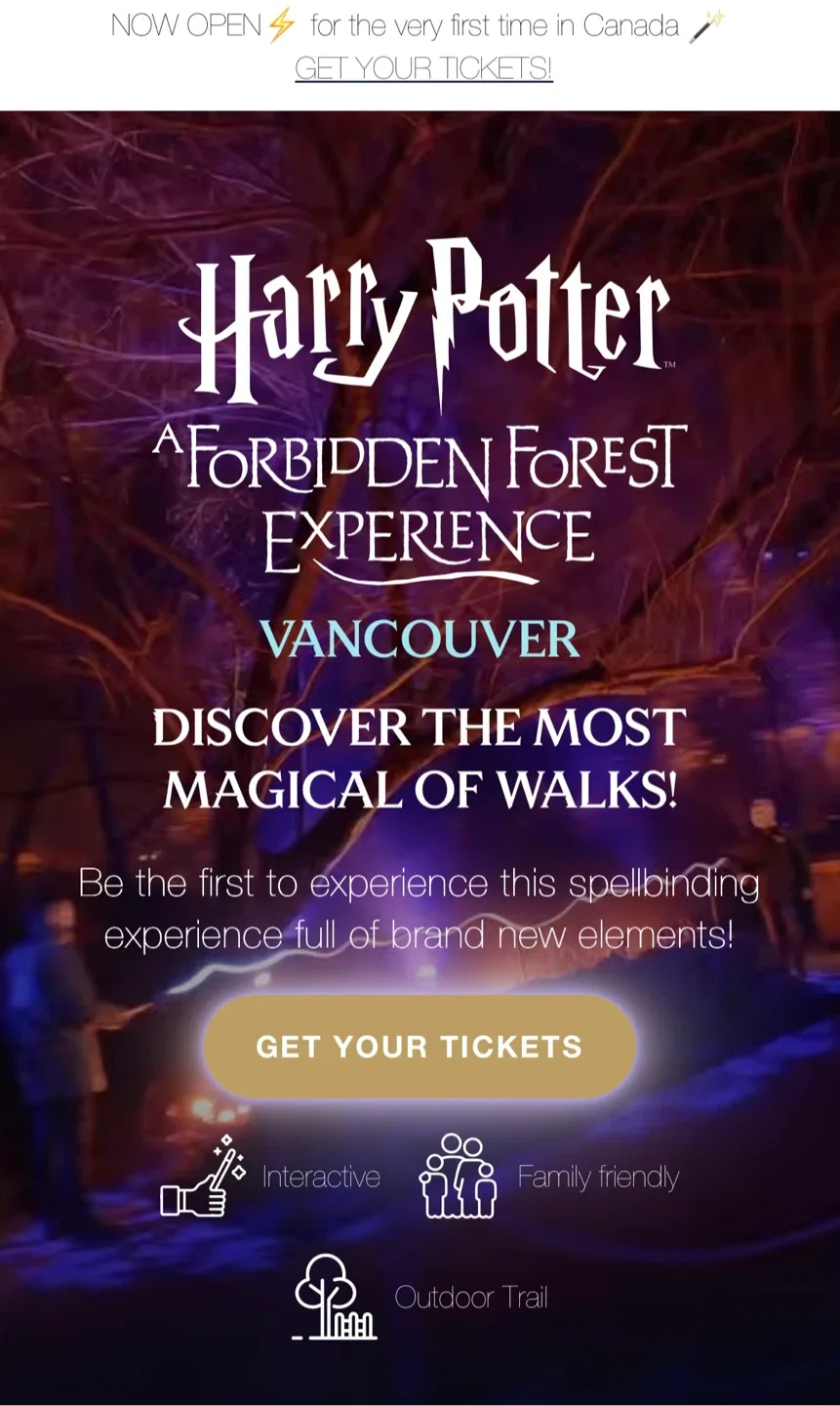 Harry potter- forbidden forest experience
