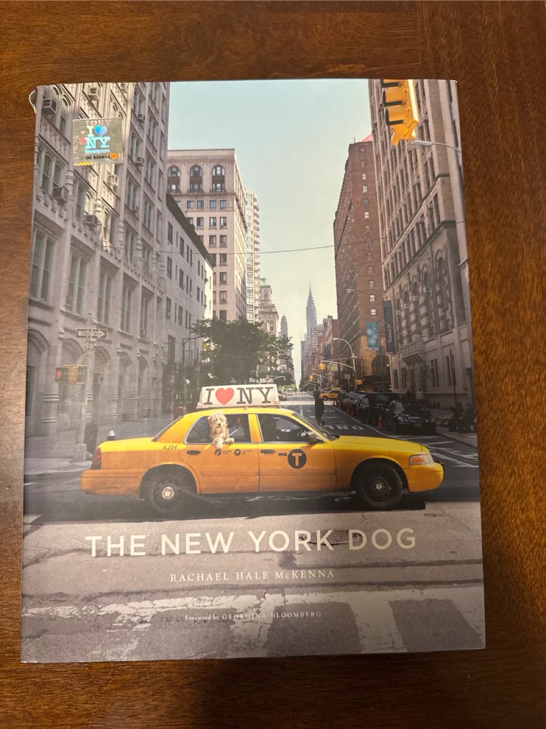 The New York Dog by Rachael Hale McKenna