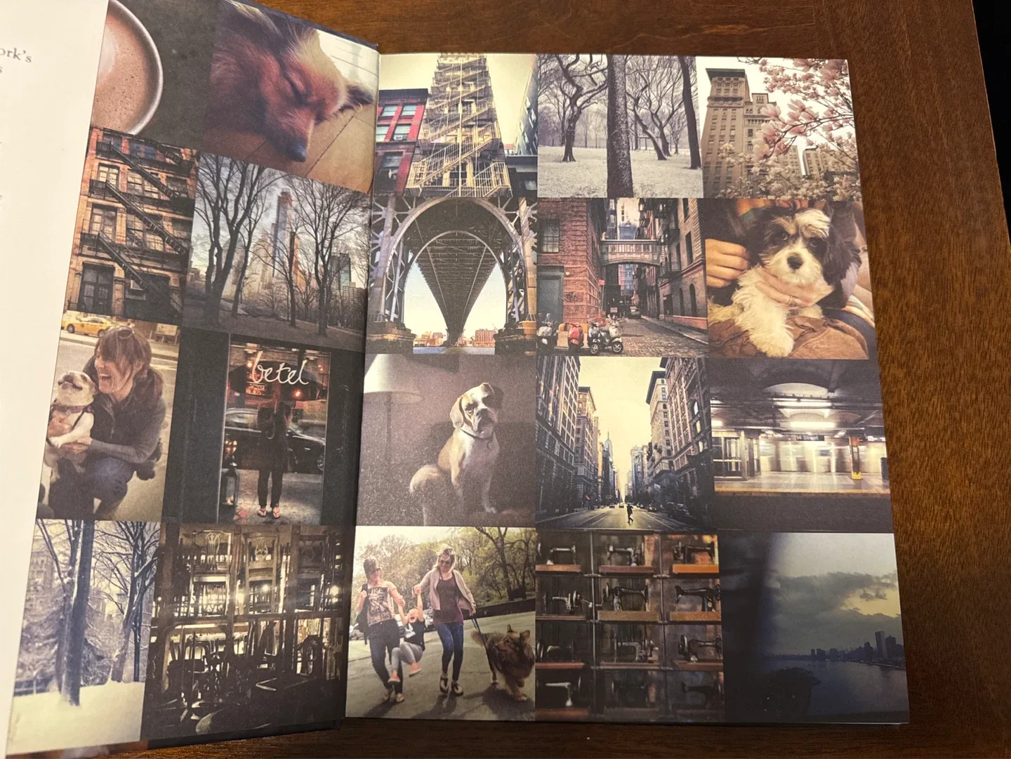 The New York Dog by Rachael Hale McKenna image indicator(2)