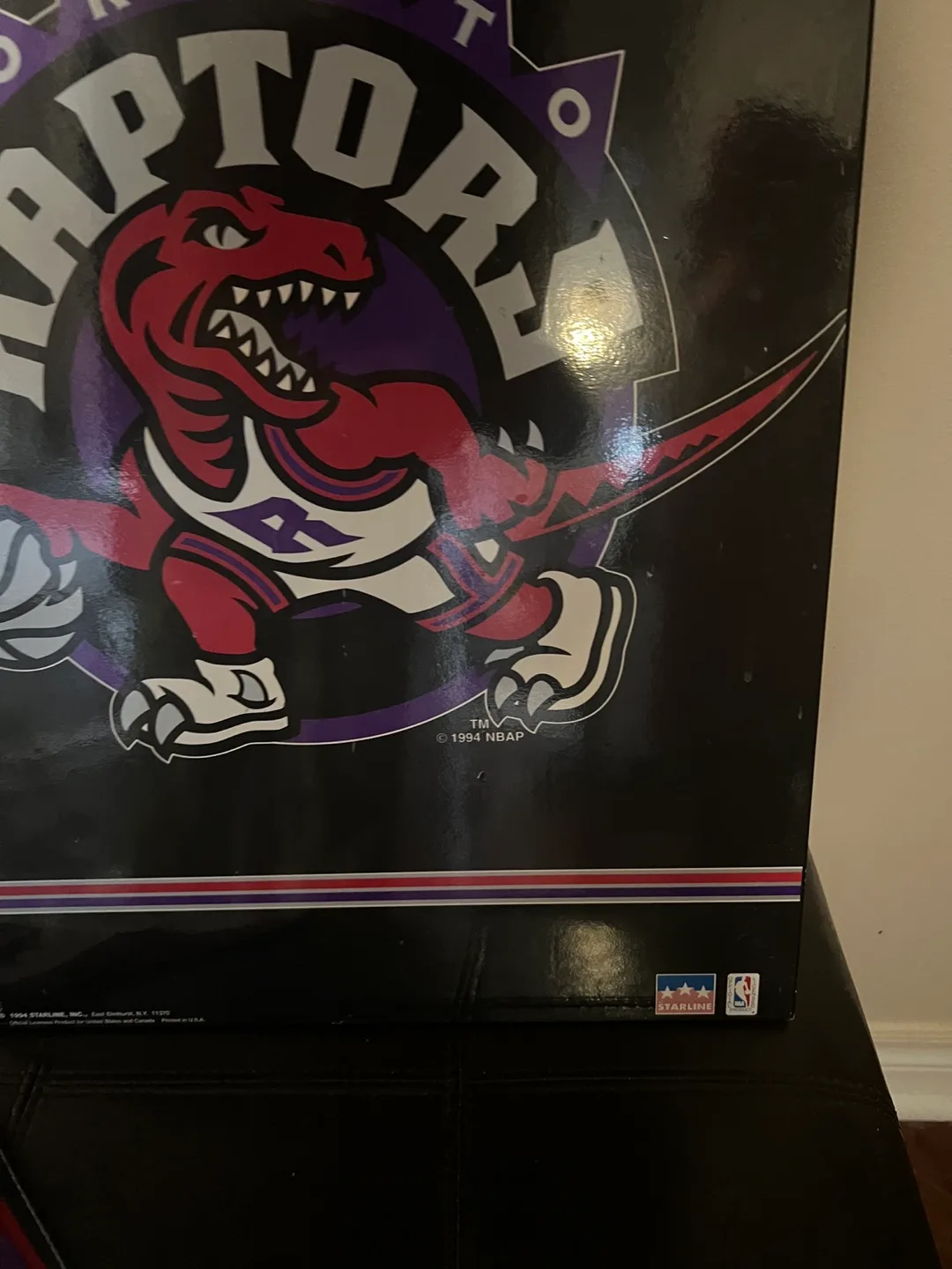 Toronto Raptors 1994 NBA Flag & hanging picture image indicator(4)