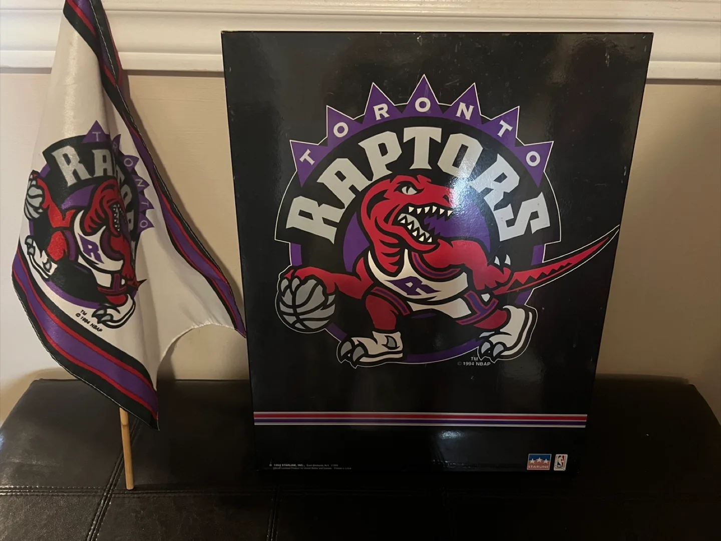 Toronto Raptors 1994 NBA Flag & hanging picture