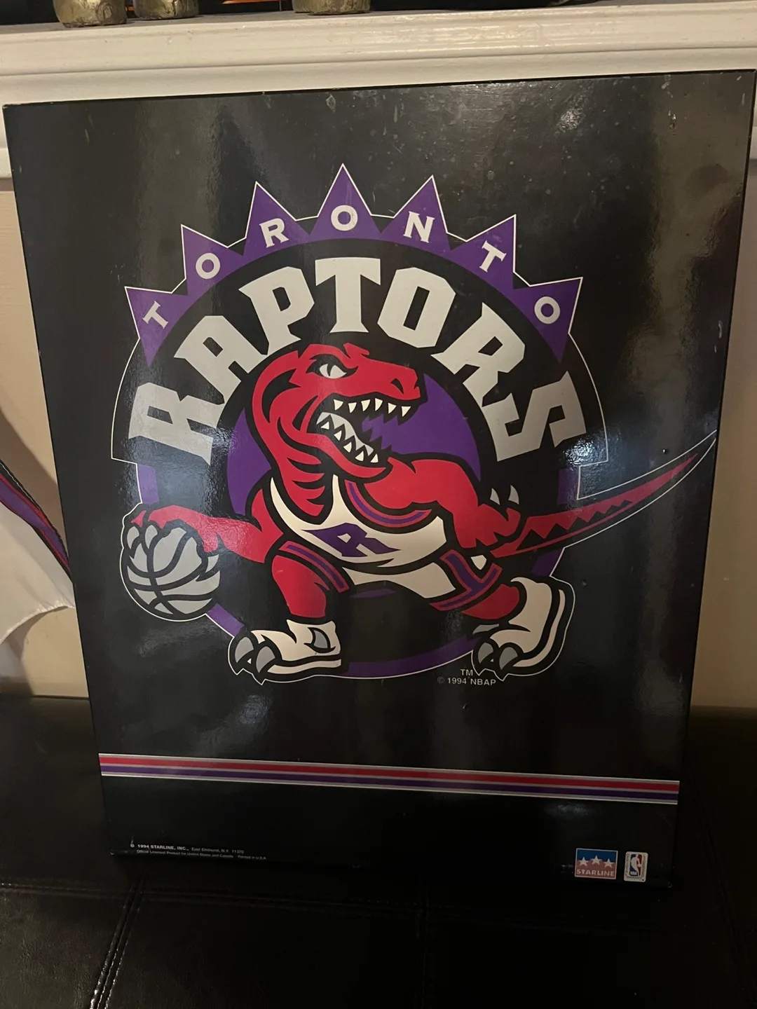 Toronto Raptors 1994 NBA Flag & hanging picture image indicator(2)