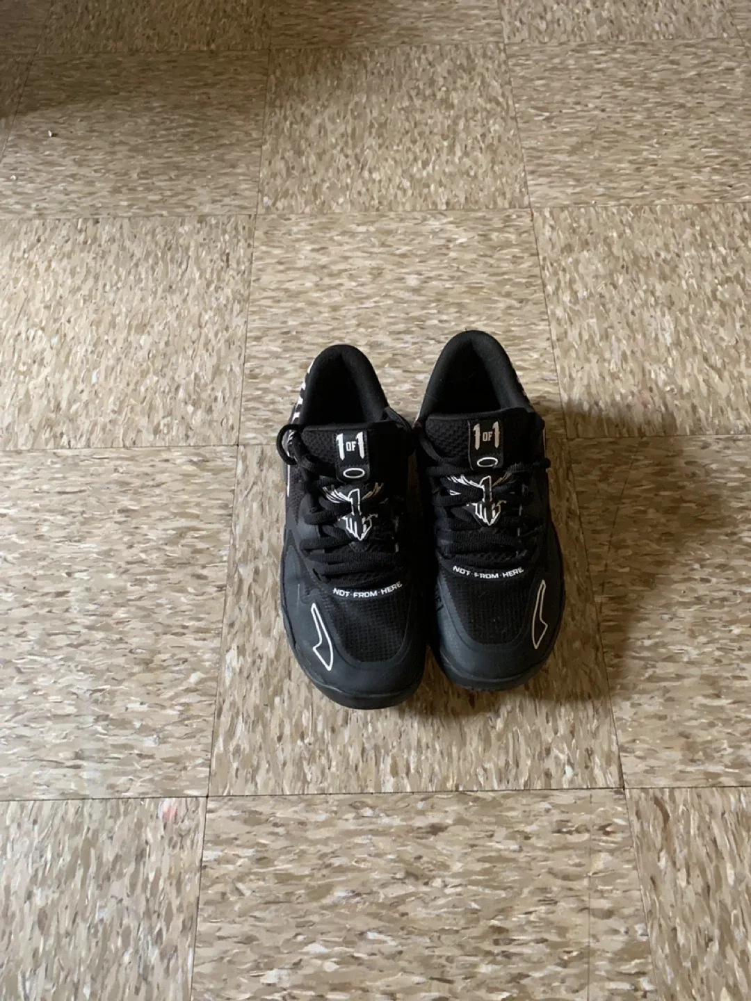 Basketball Lamelo Shoes image indicator(2)