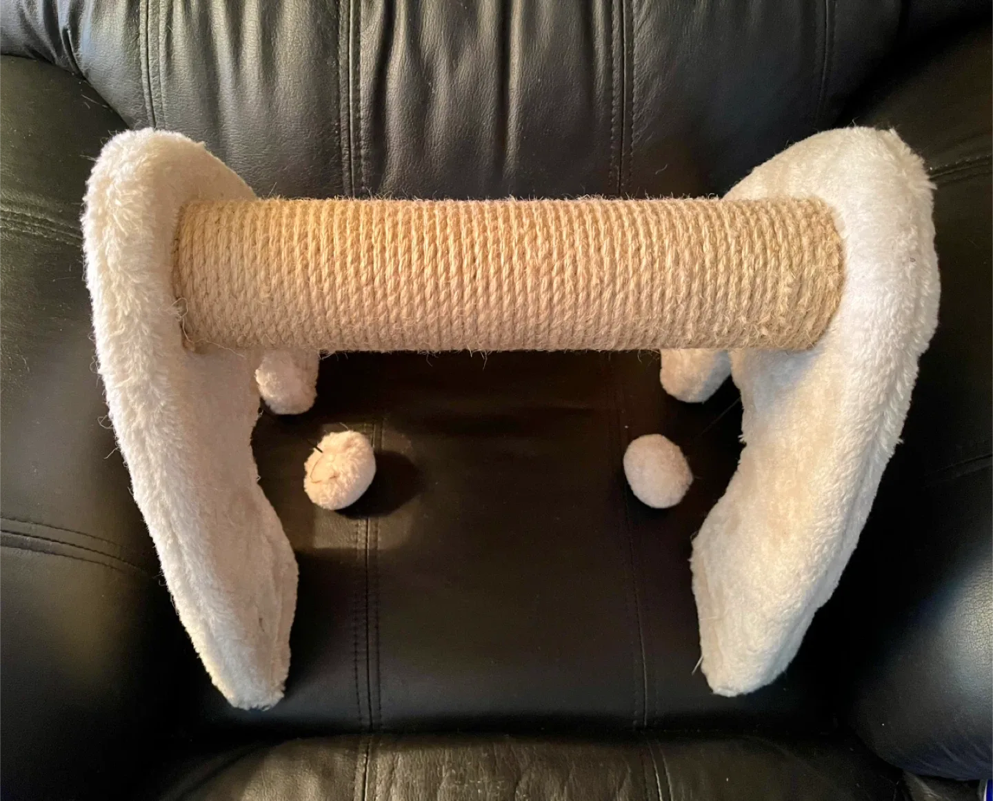 Whiskers and Mittens Cat Scratching Post