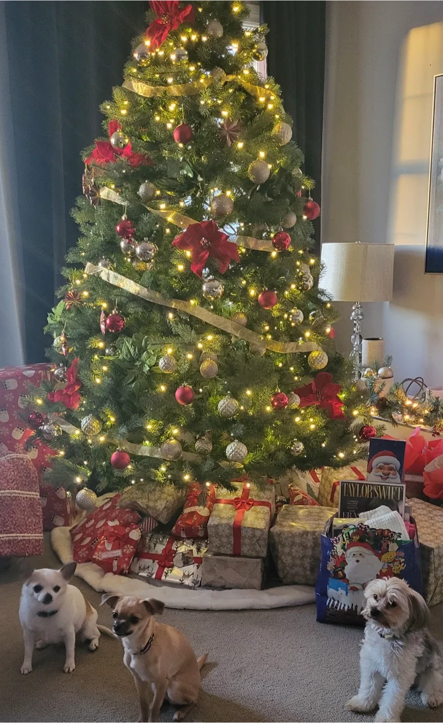 Pre-lit Artificial Christmas Tree image indicator(2)