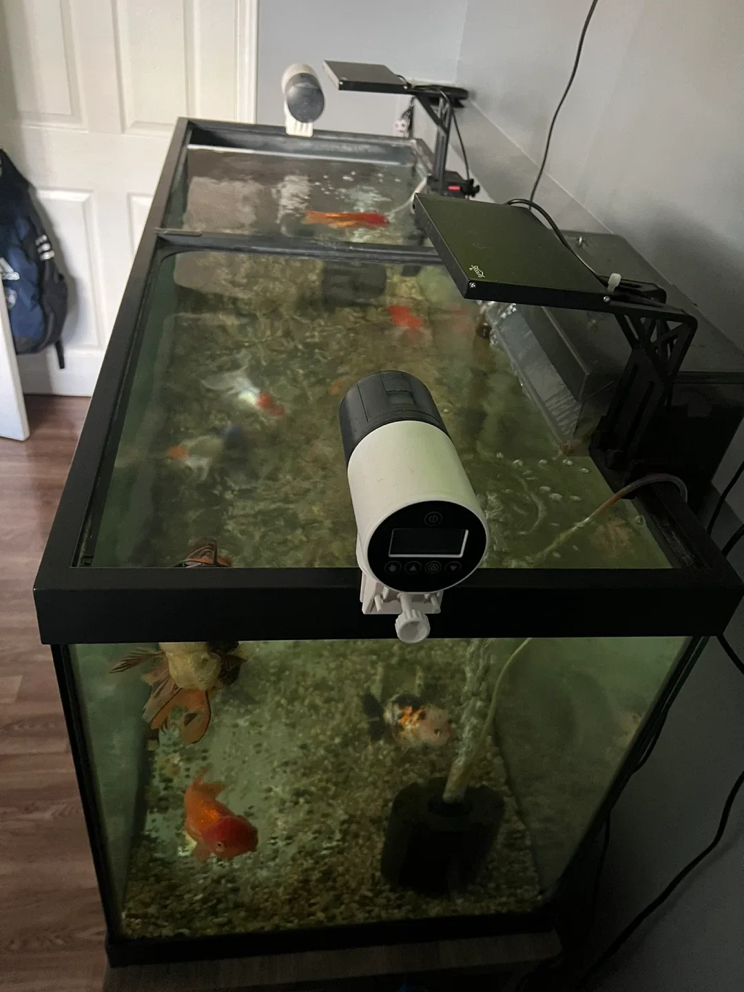 65 gal Aqurium image indicator(2)