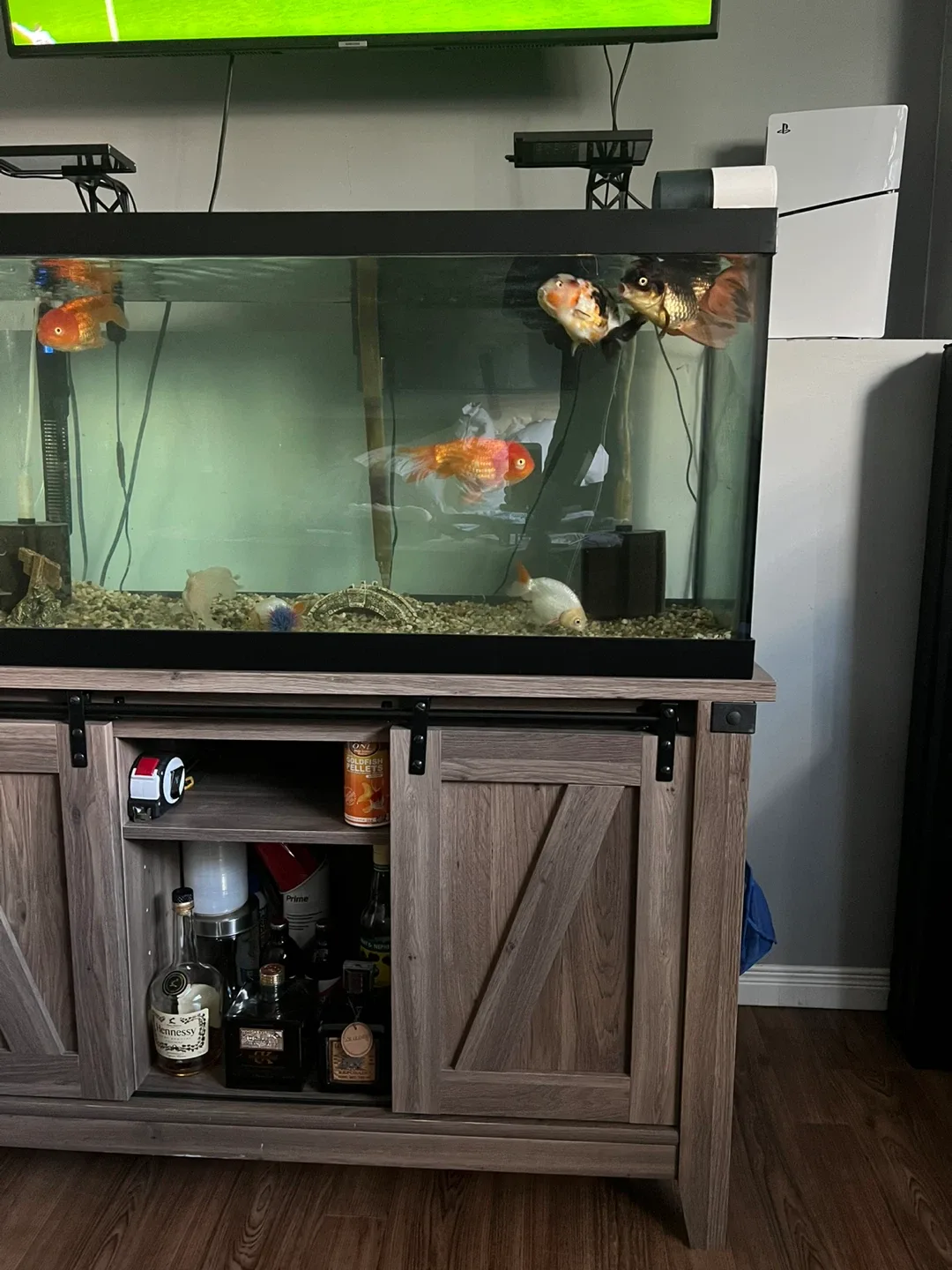 65 gal Aqurium image indicator(4)