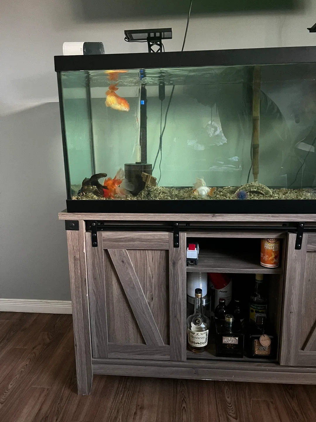 65 gal Aqurium image indicator(3)