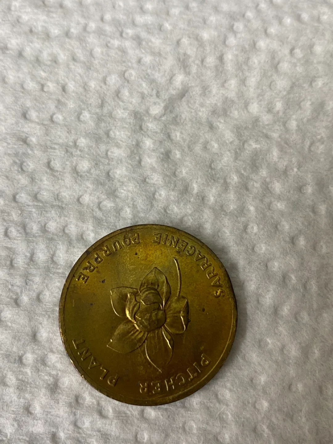Vintage Newfoundland Coin 1949