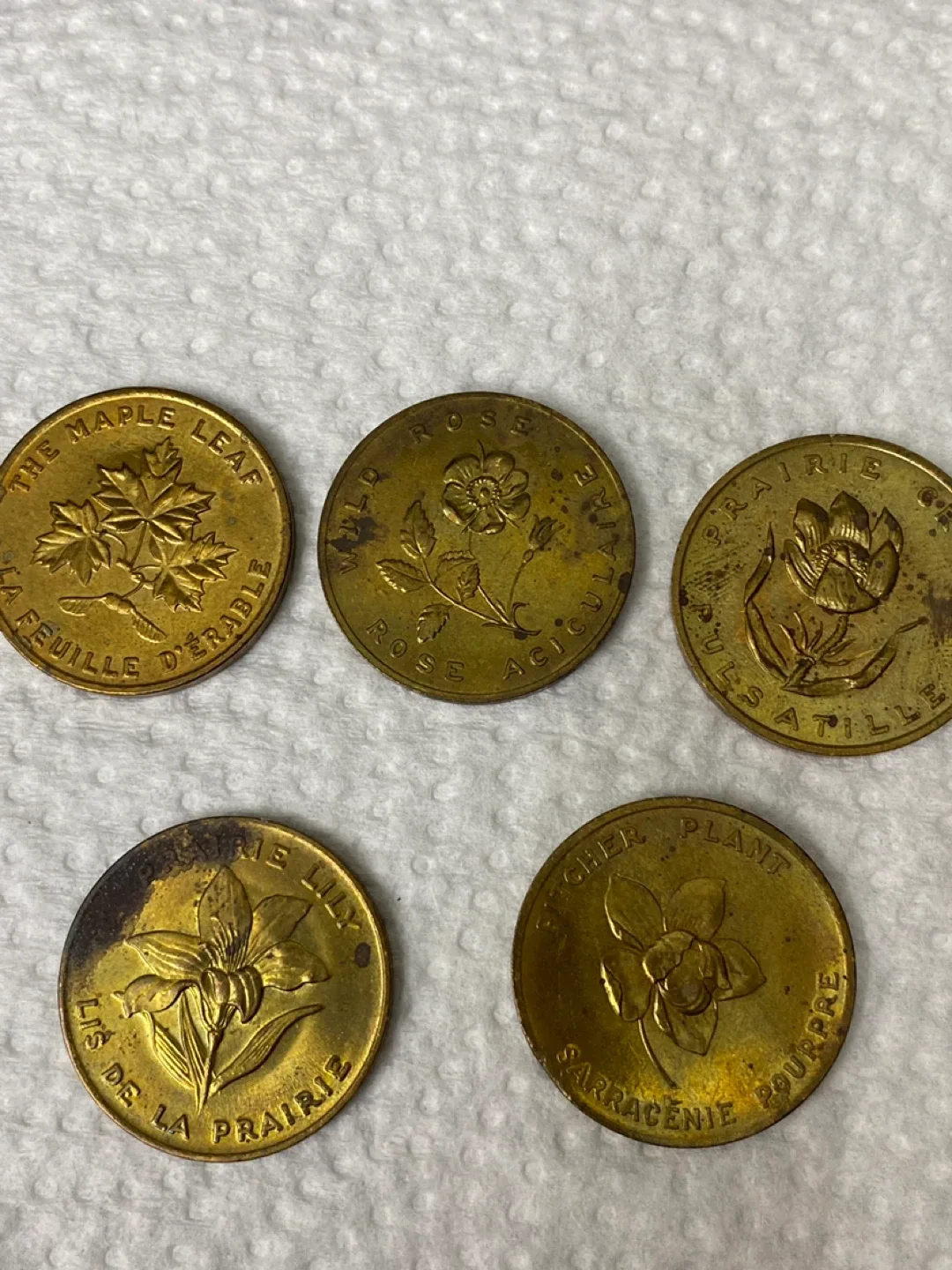 Vintage Newfoundland Coin 1949 image indicator(8)