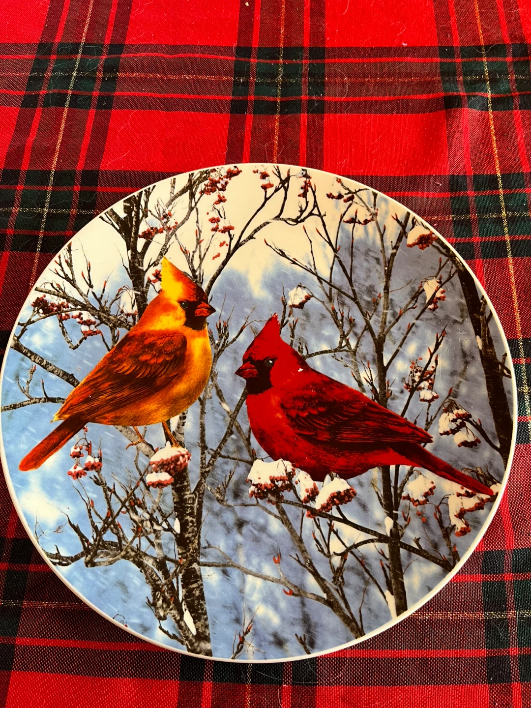 Ceramic Platter and Cake Server, Cardinals - photo 2