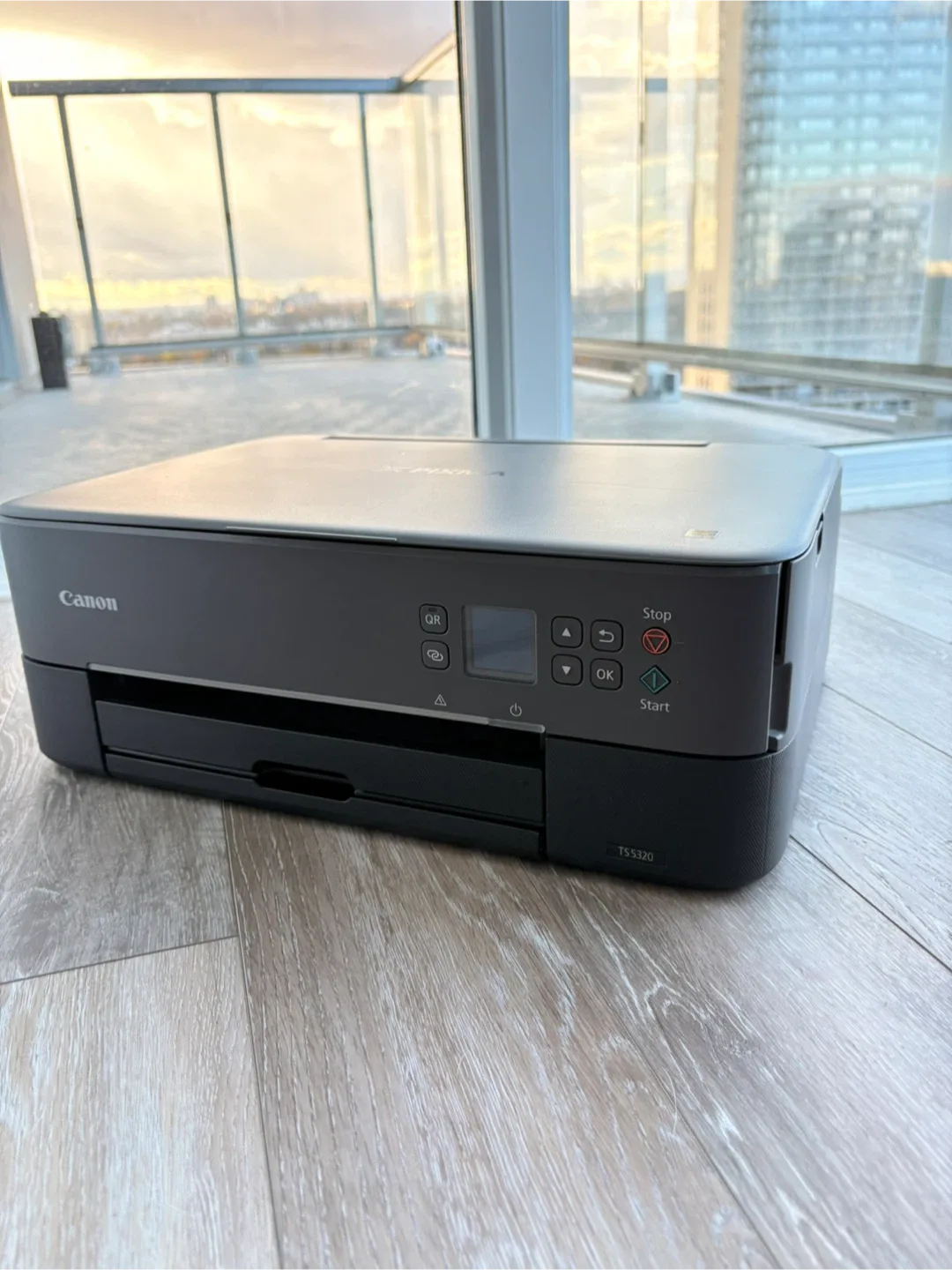 Canon PIXMA TS5320 Printer image indicator(2)