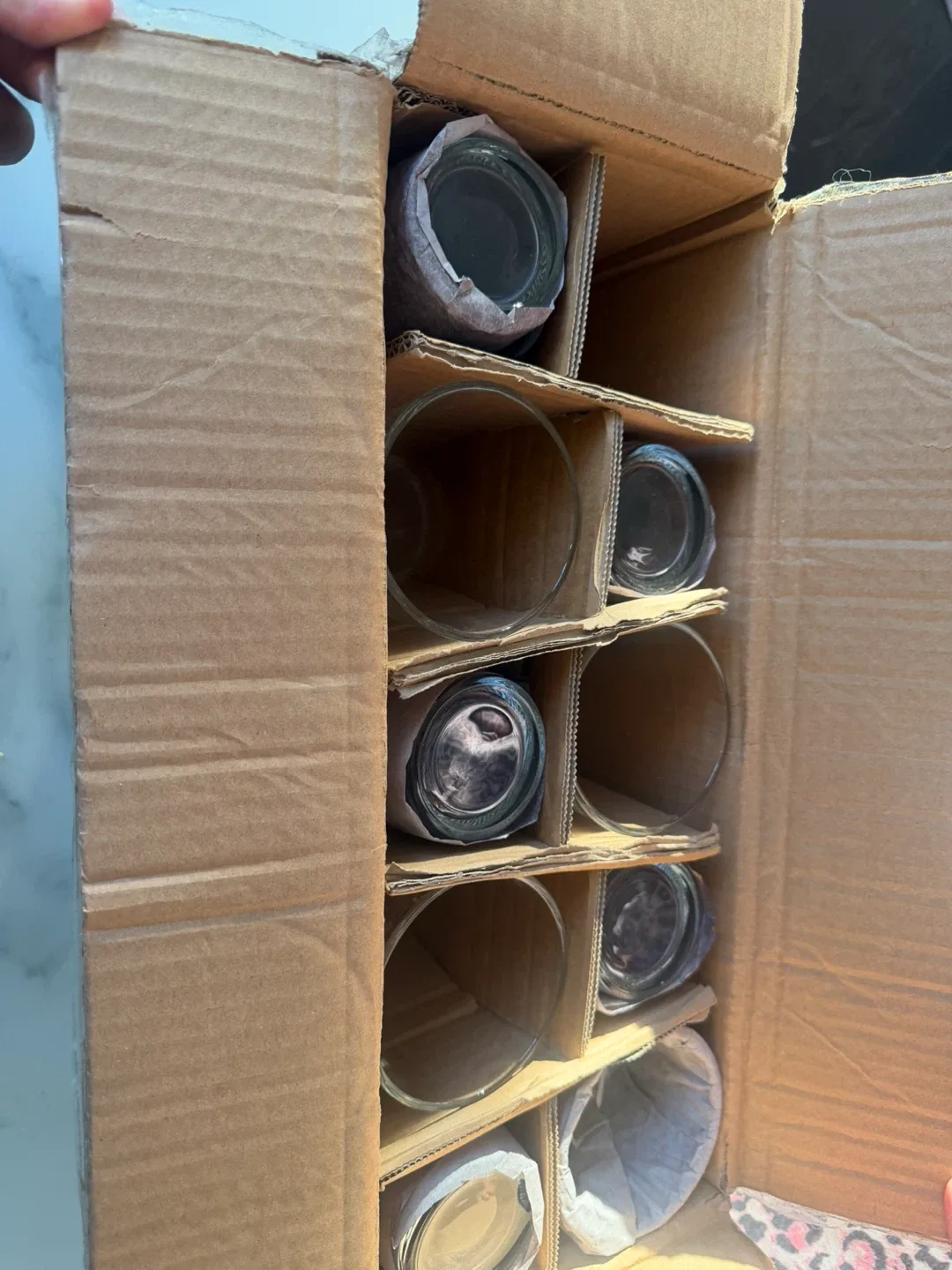 Drinking Glasses Set - 10 Highball Glasses, glass