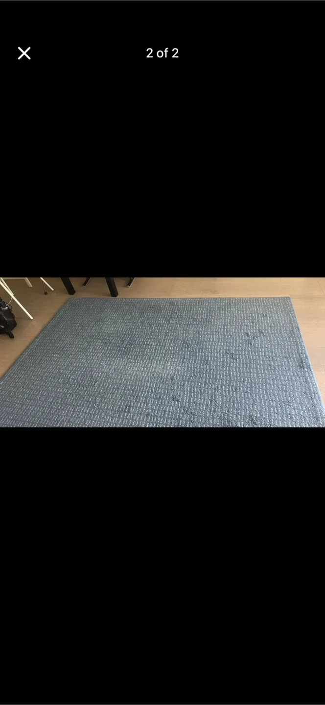 Area Rug - Blue image indicator(2)
