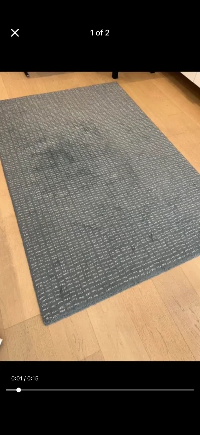 Area Rug - Blue image indicator(3)