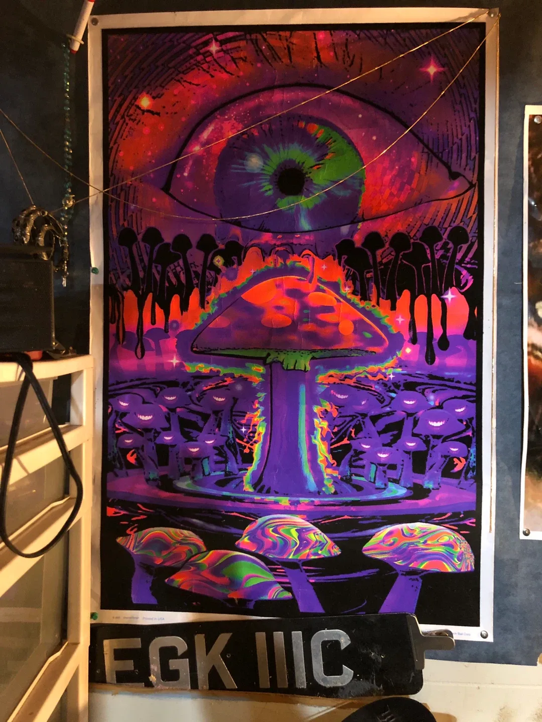 Eye & Mushroom Blacklight Poster