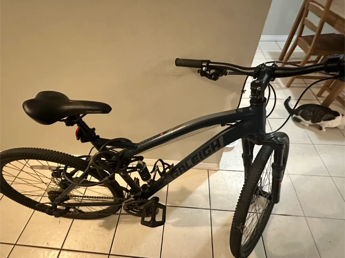 Raleigh Mountain Bike - Great Condition