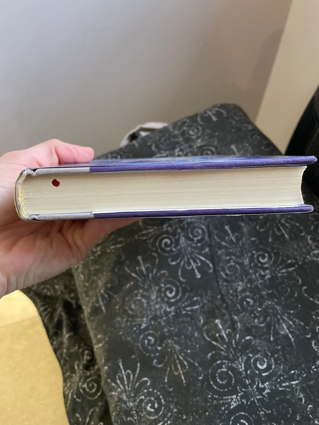 We Were Liars by E. Lockhart - Deluxe Edition image indicator(4)