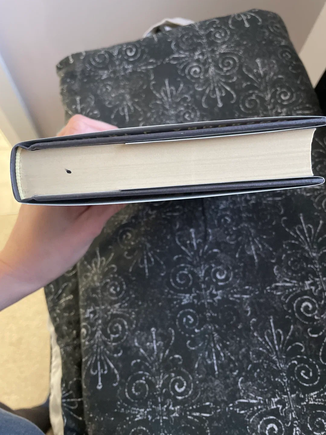 Dreamland by Robert L. Anderson image indicator(4)