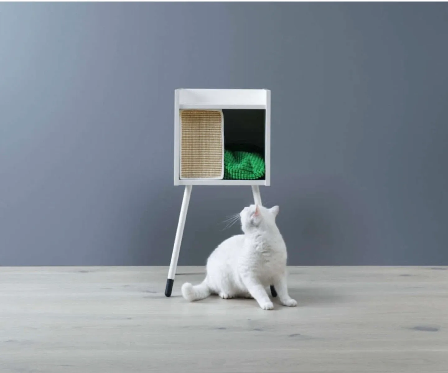 Cat house and side table image indicator(2)