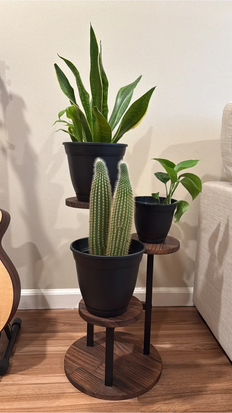 3-Tier Plant Stand - Wood & Metal and plants