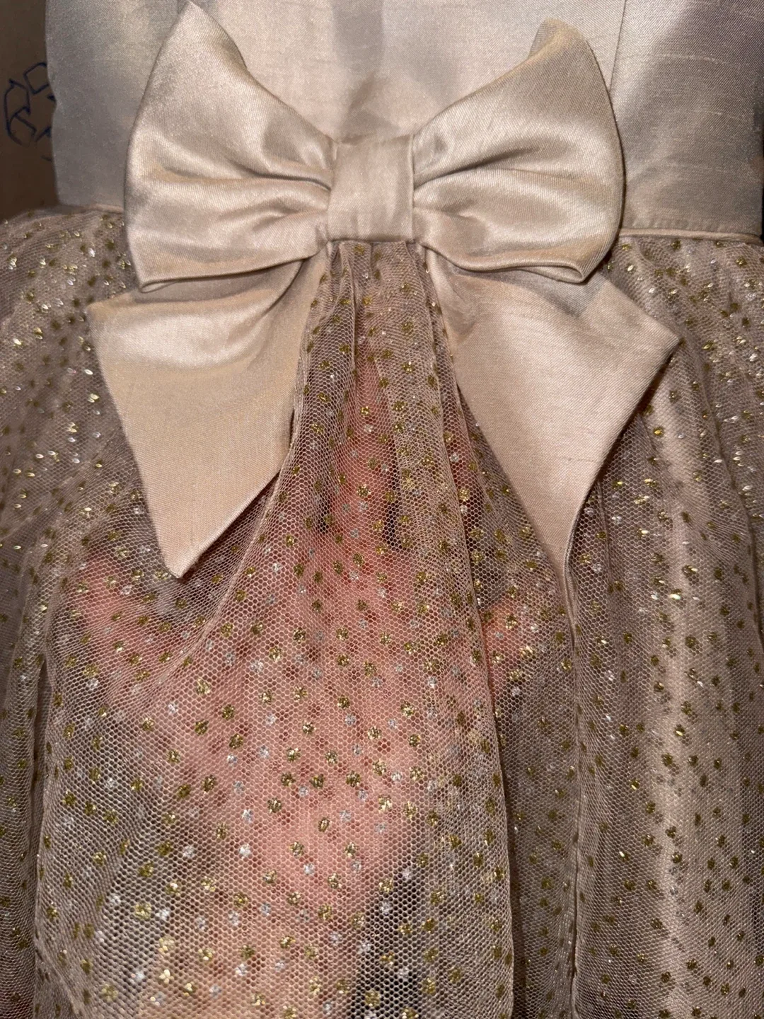 Girl's Party Dress - Champagne Colour image indicator(2)