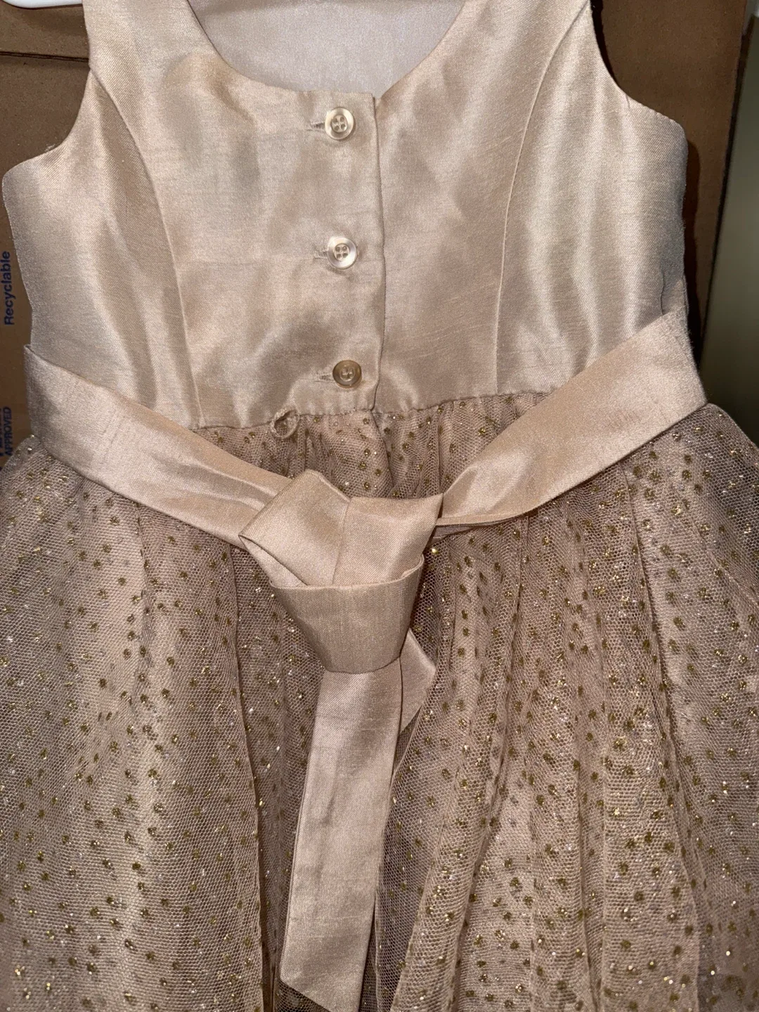 Girl's Party Dress - Champagne Colour image indicator(3)