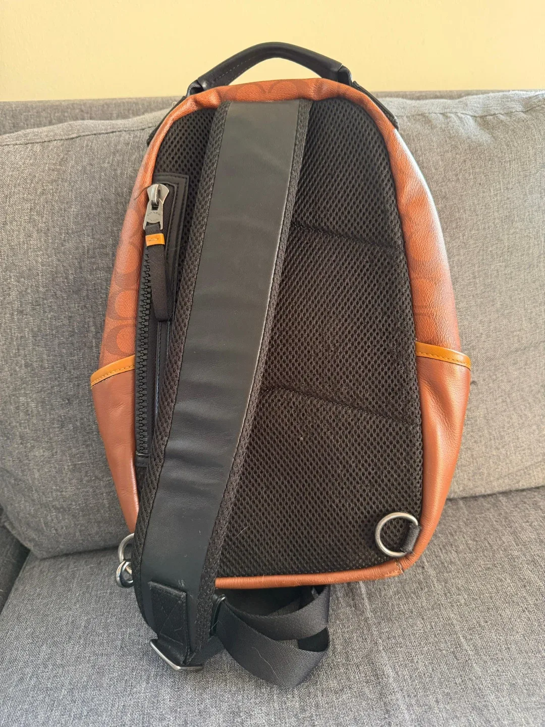 Coach Sling Backpack & Nike Air Force 1 Yellow image indicator(2)