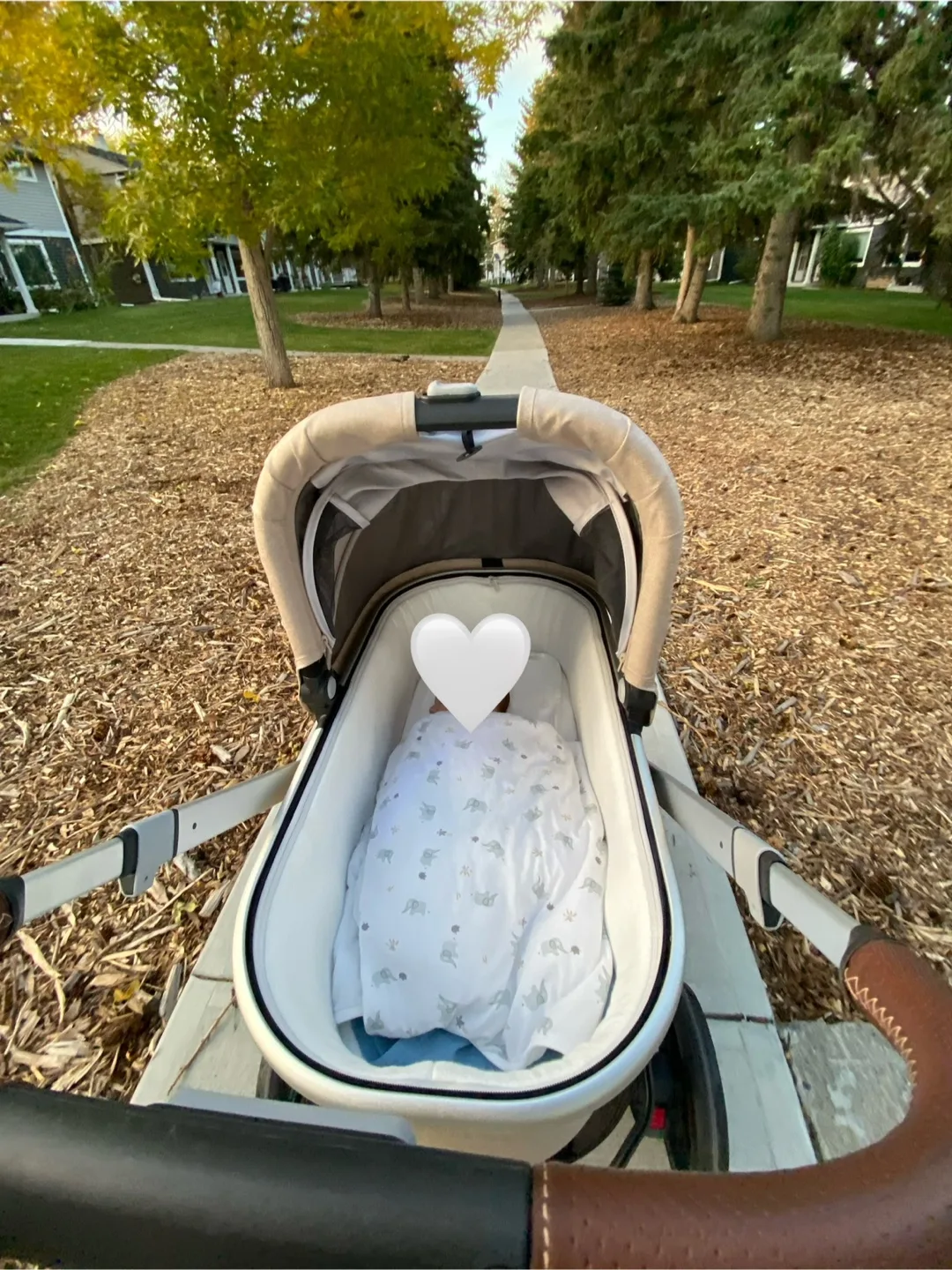 UPPAbaby bassinet