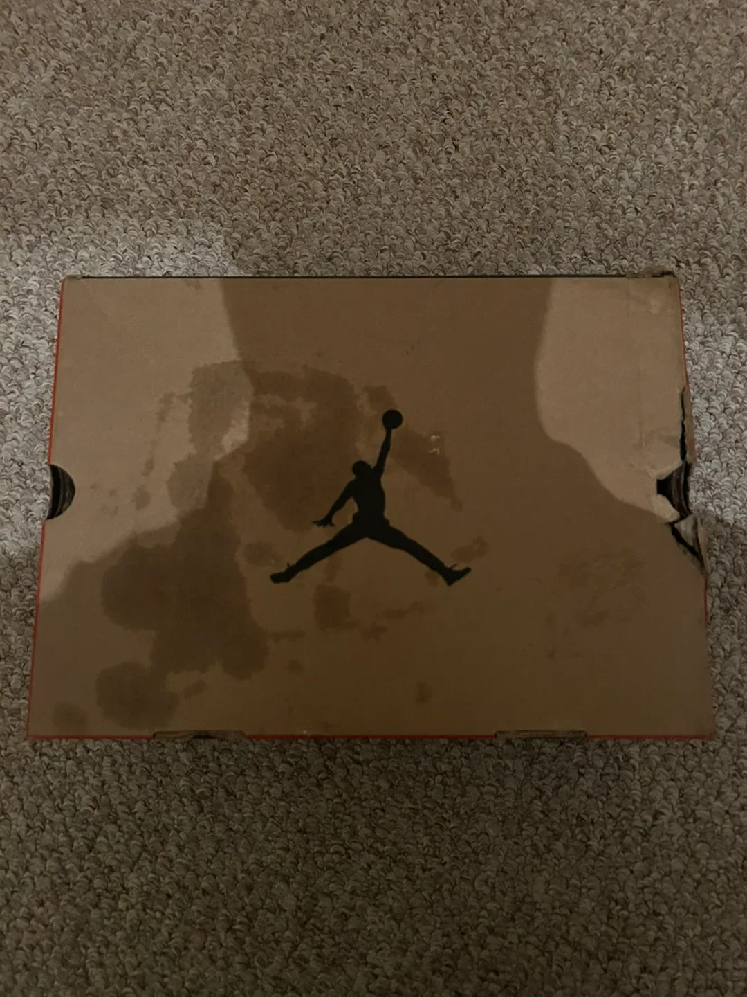 Jordan 12 Playoffs Size 11 2022 Mens Shoes image indicator(10)