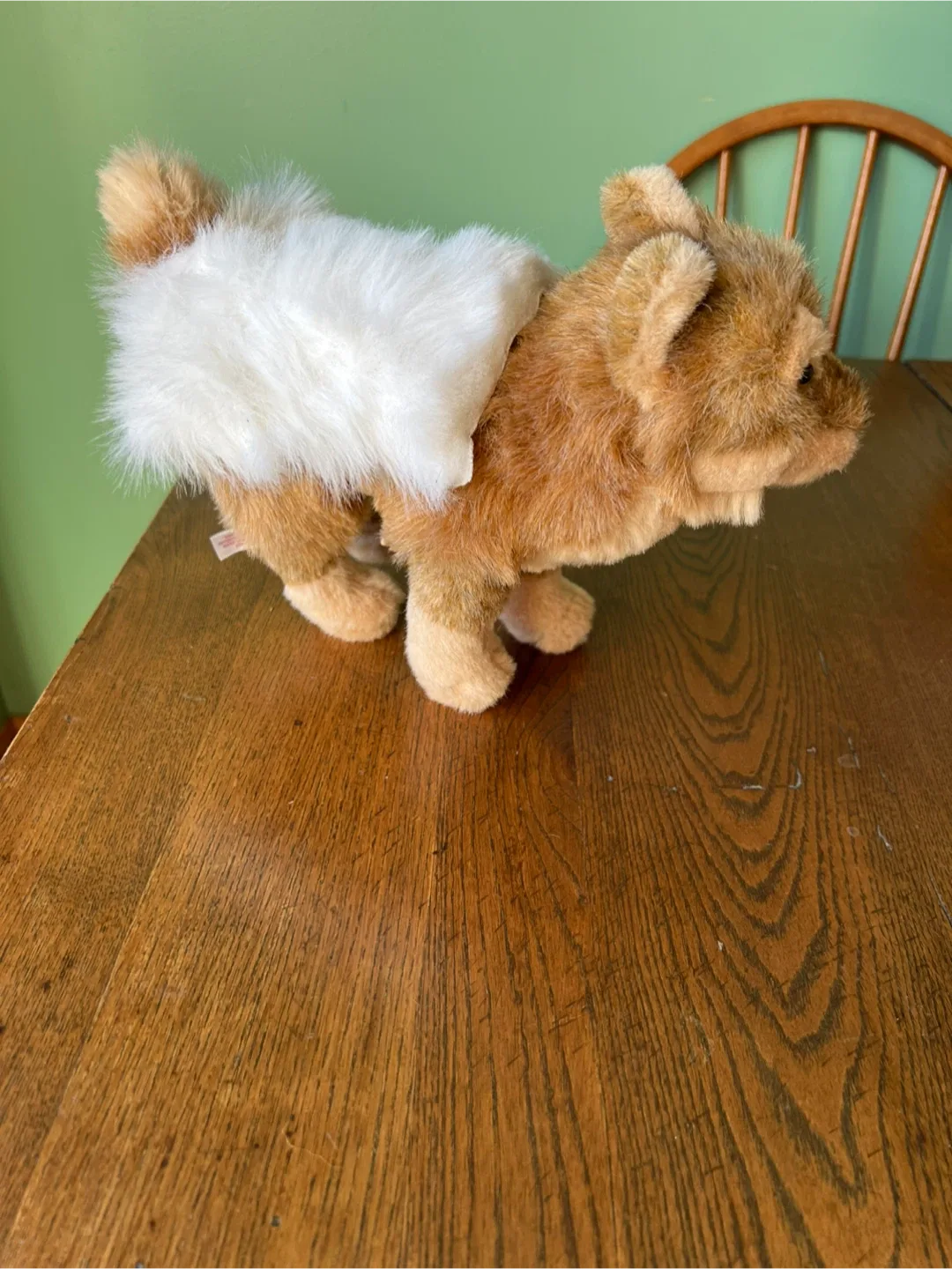 American Girl Doll Kaya's Dog Tatlo with the fur blanket. image indicator(5)