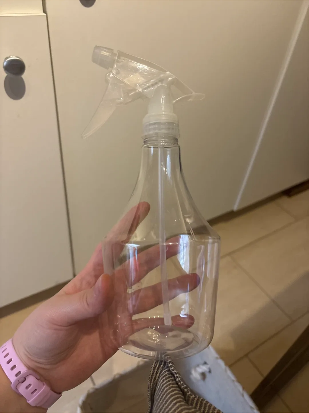 Dollarama Spray Bottle