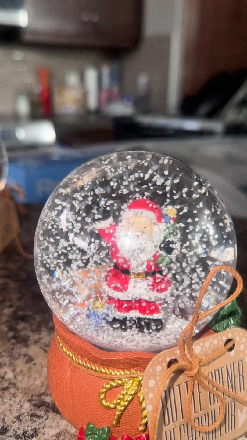 Snow Globe Assortment image indicator(6)