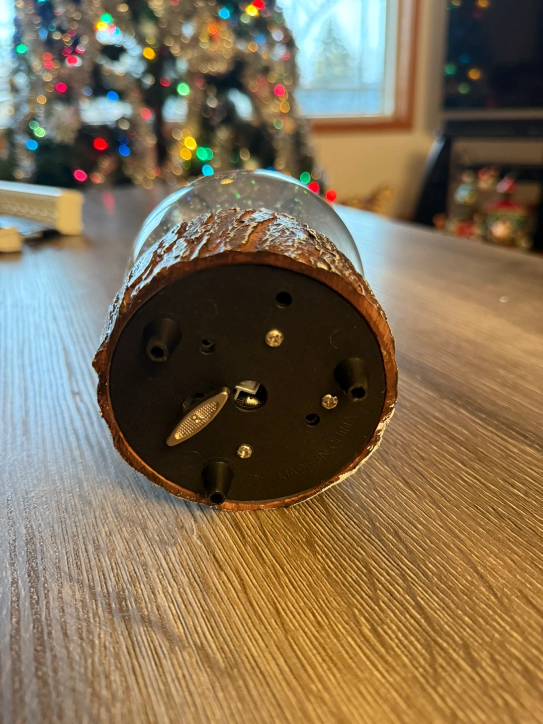 Snow Globe - photo 2
