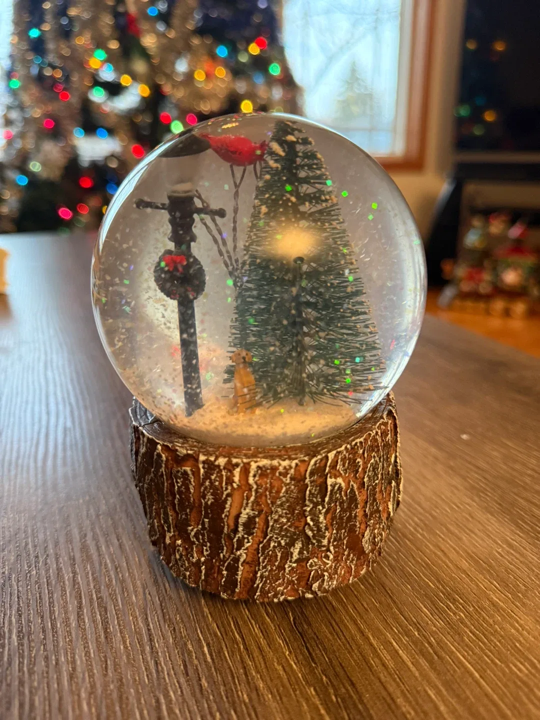 Snow Globe