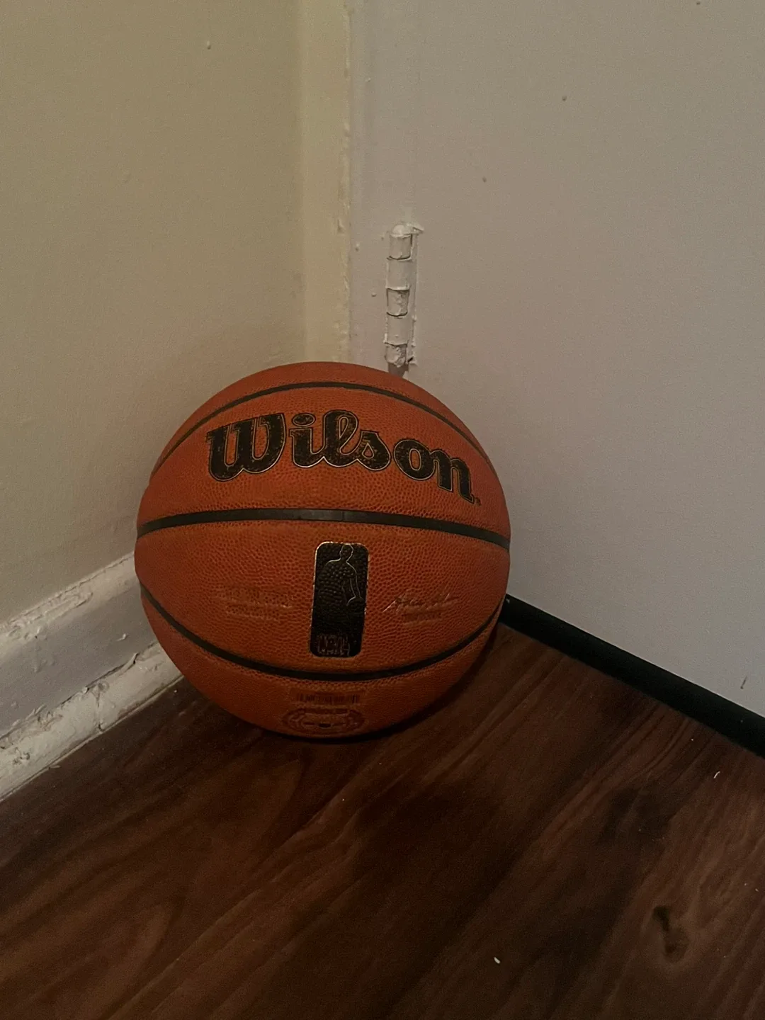 Wilson NBA Basketball