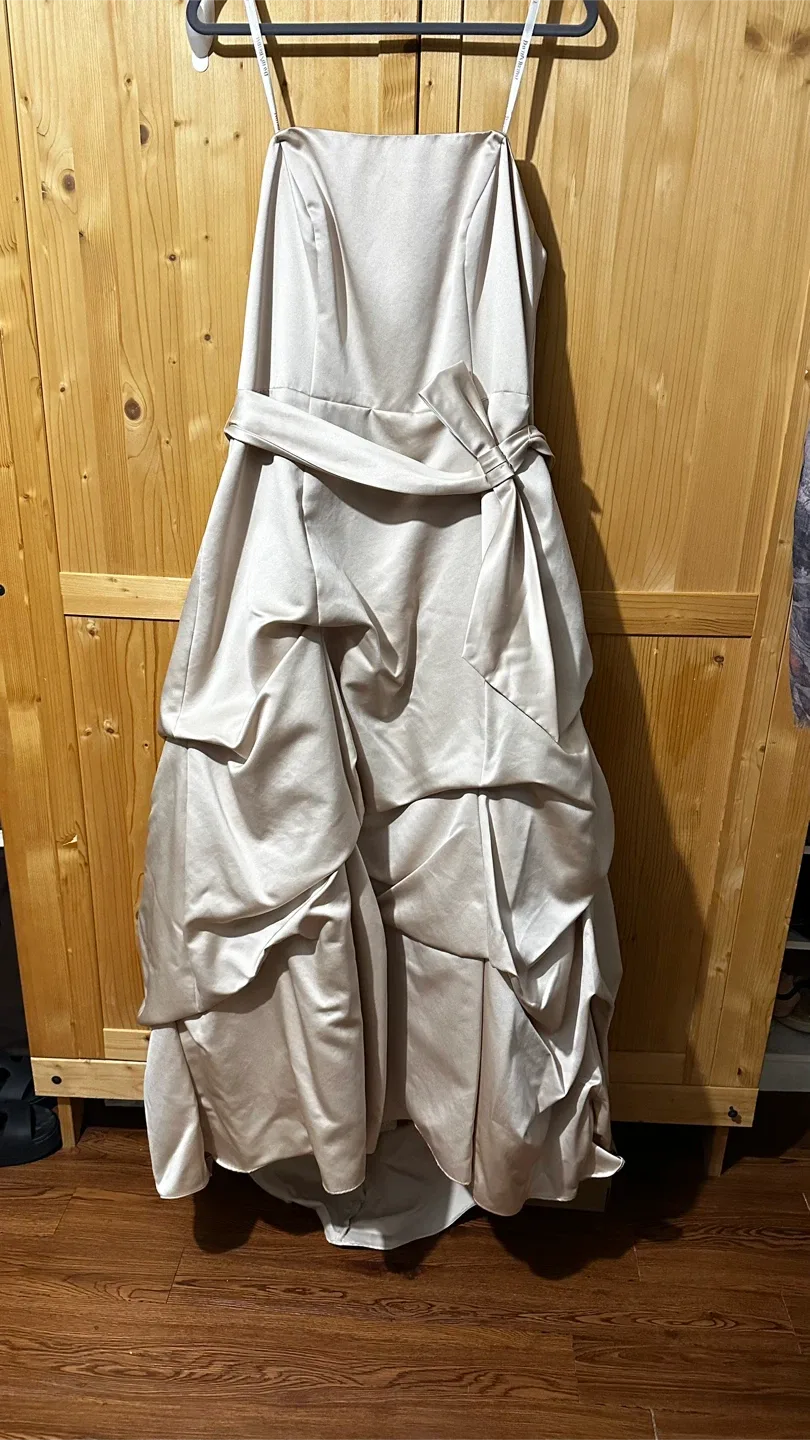 David's Bridal Dress - Size 18 image indicator(2)