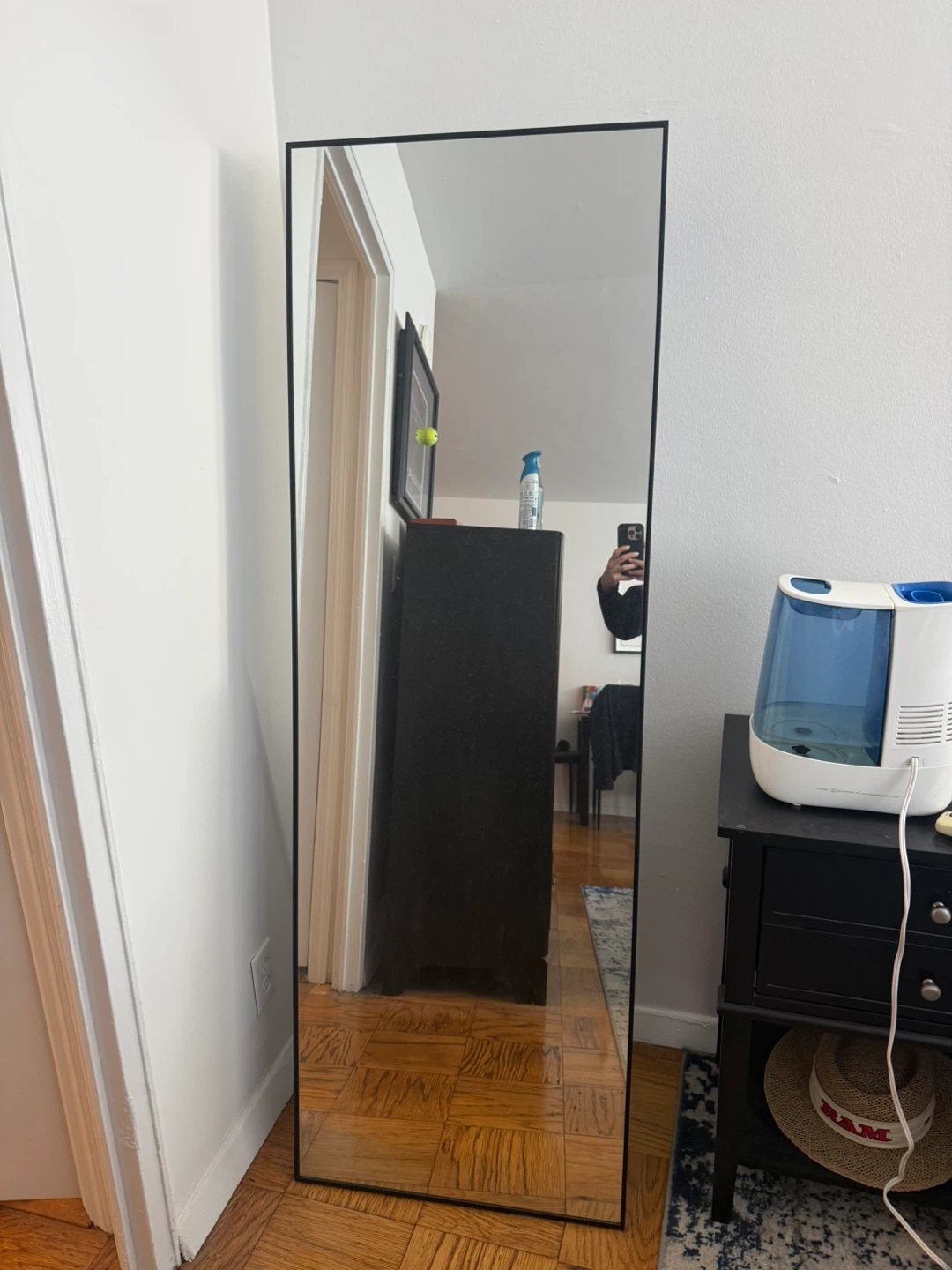 Full Length Black Framed Mirror