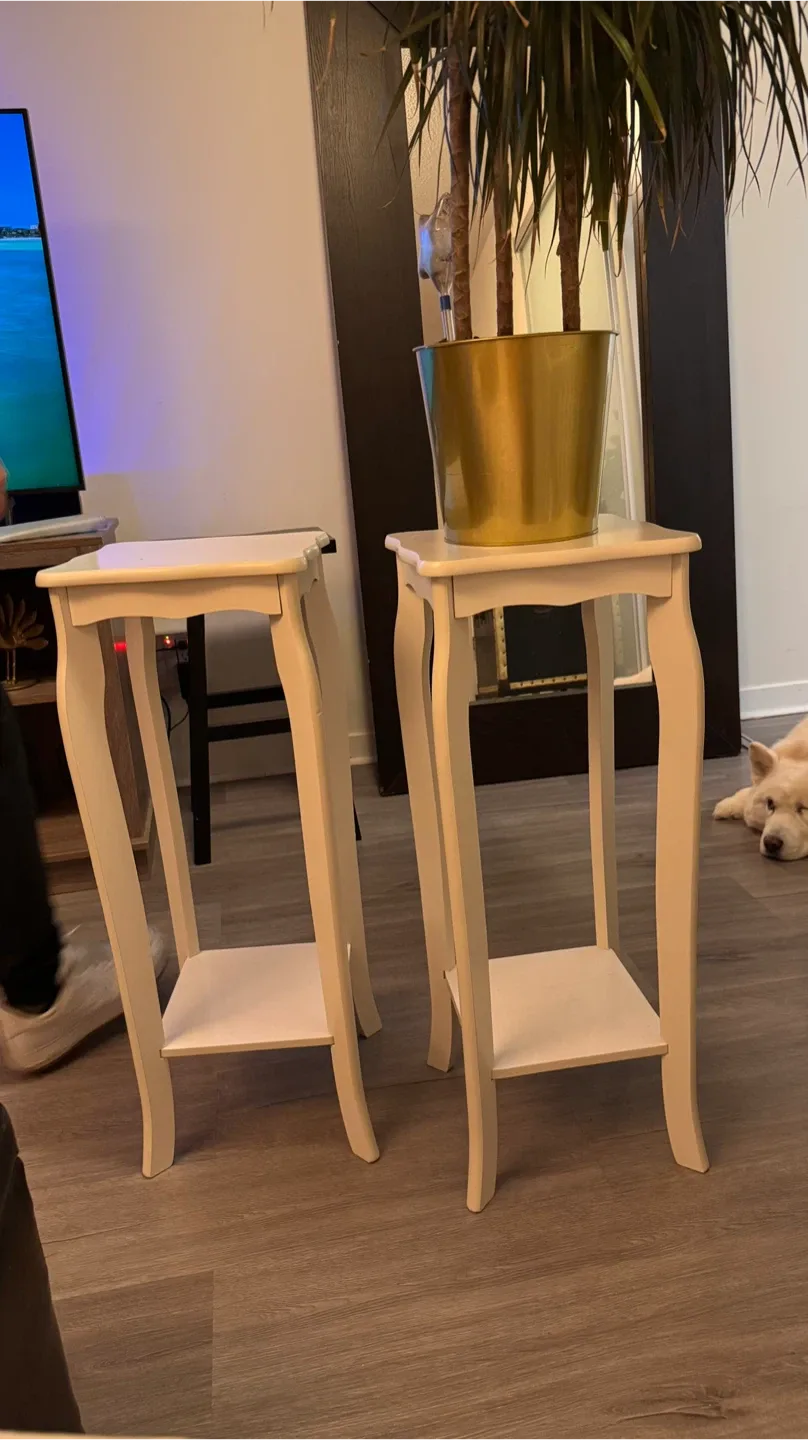 Pair of White Wooden Plant Stands image indicator(3)