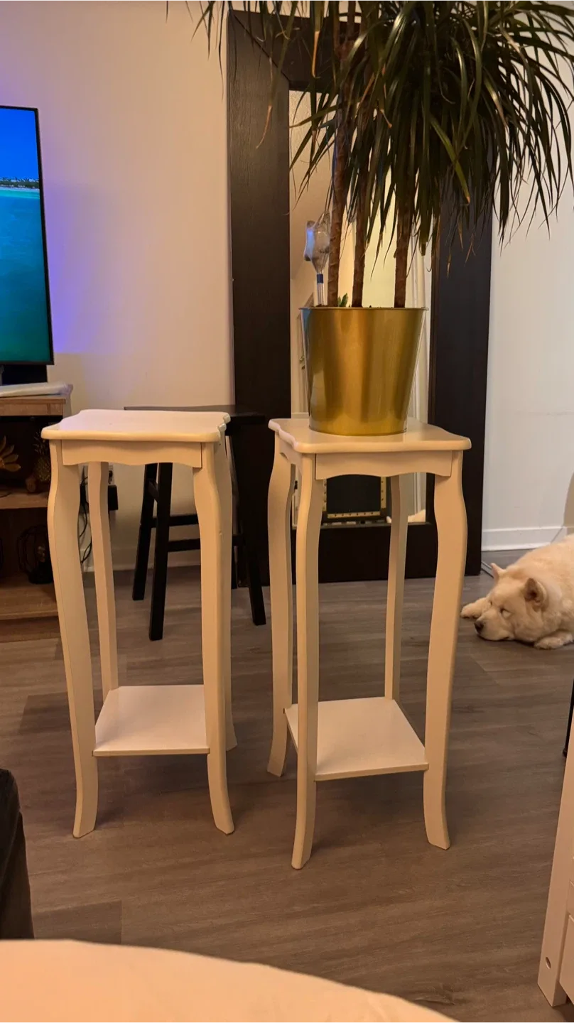 Pair of White Wooden Plant Stands image indicator(4)