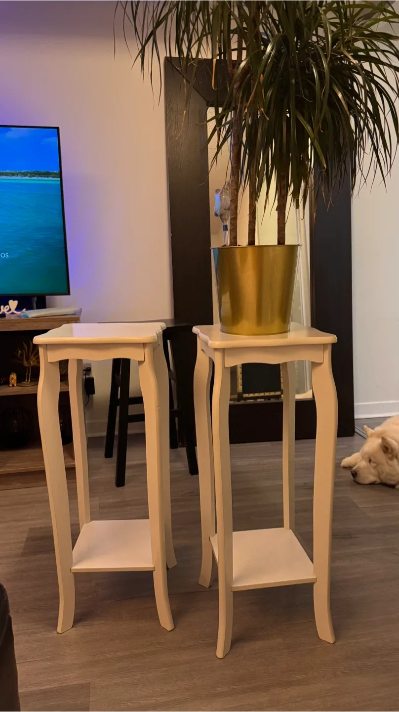 Pair of White Wooden Plant Stands image indicator(5)