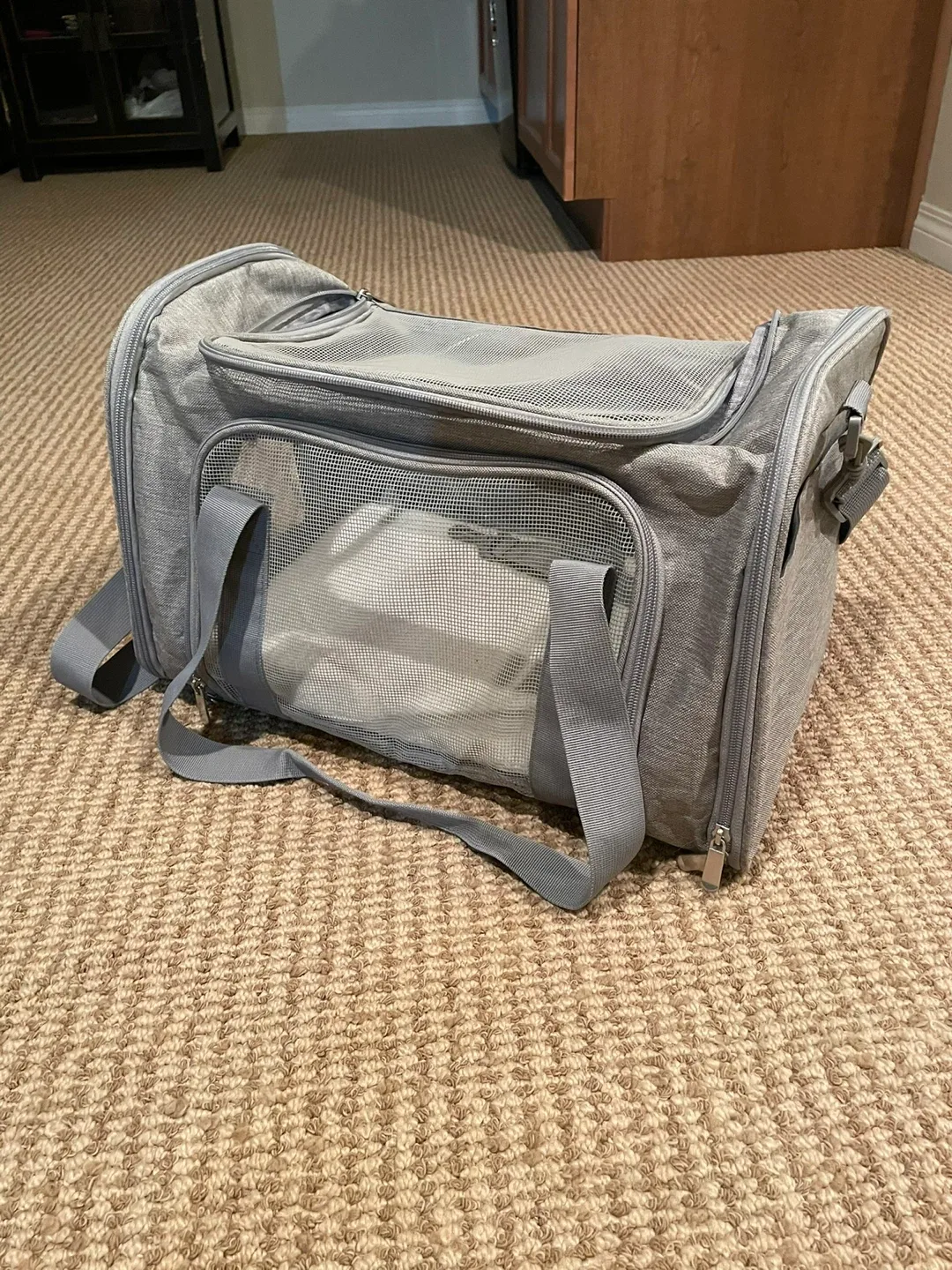 Grey Pet Carrier - Like New!